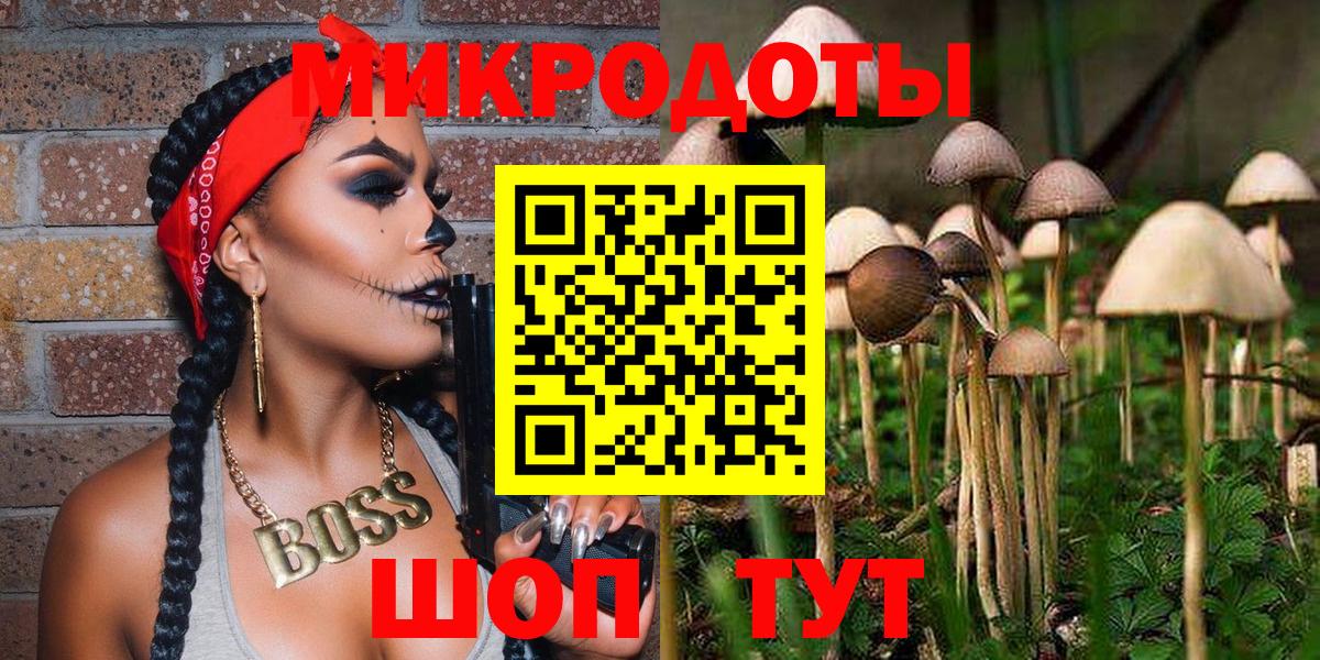 Псилоцибиновые грибы мицелий Учалы